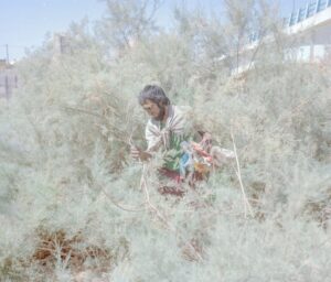 hashem-shakeri_press-01_main_vincitore2019-1