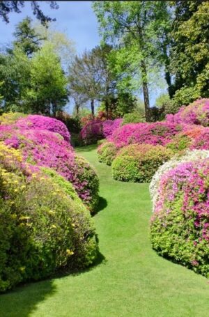 05-orto-botanico-villa-carlotta