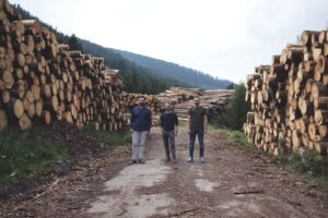 Foto Giuseppe, Federico, Paolo