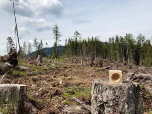 VAIA - ripiantumazione 22 maggio - FOTO GIULIA LENZI (3)
