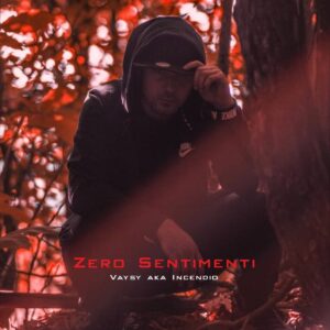 cover_vaysy_zerosentimenti
