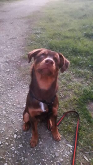 img-20200715-wa002476