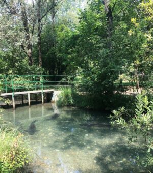 parcoittico2020_canalistorione