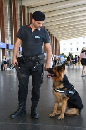 01-cani-italpol-vigilanza
