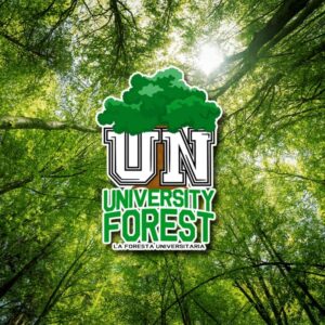 cover-la-foresta-universitaria