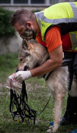 screenshot_20201205-220938_gallery