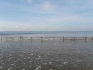 rete-onda-dietro-330