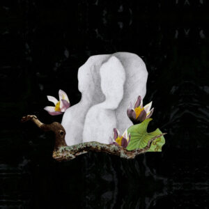 afecac49-5133-4c55-8742-05ad4b9a1b90