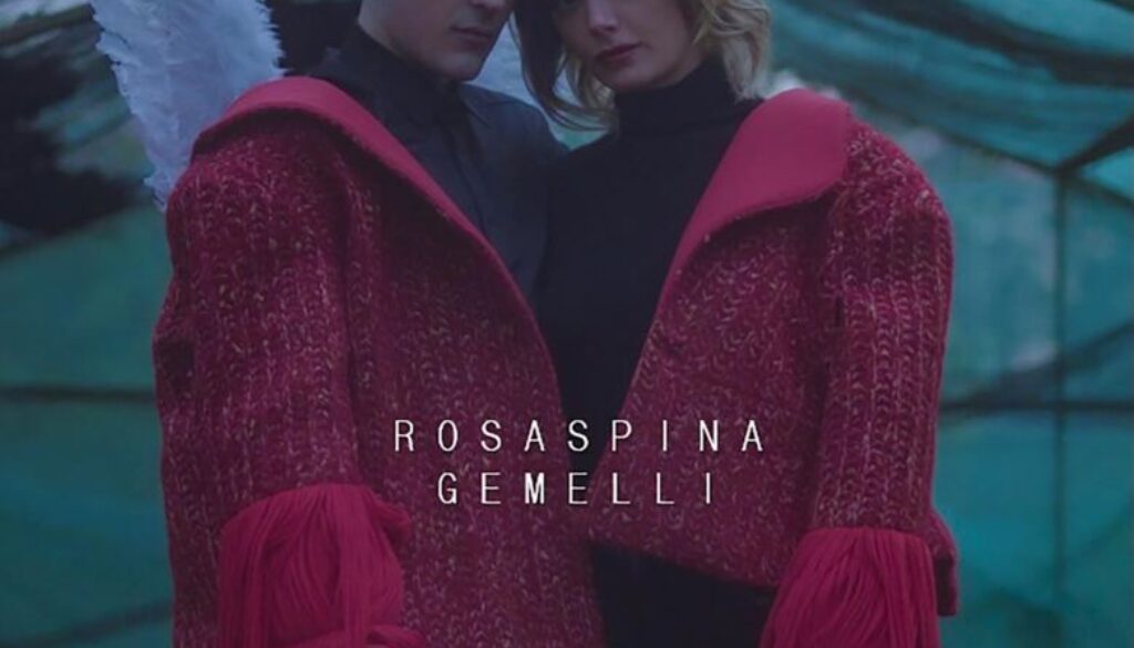 cover_rosaspina_gemelli