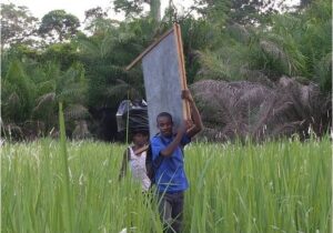 Makongo di Elvis Sabin Ngaibino (Final Cut 2019) Prix du Jury Festival di Amiens