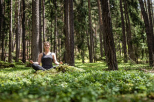 my_arbor_waldbaden (2)