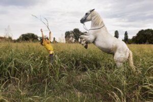 stephanie-gengotti_press-01_main-min