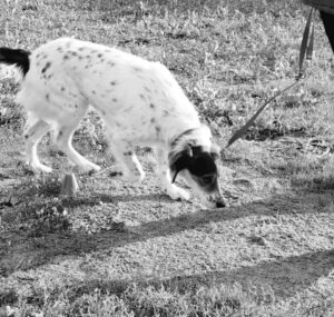 fb_img_1622188489668