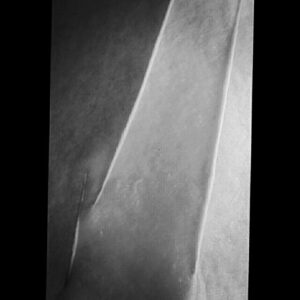 73215226_10221085267950301_622645330206261248_n