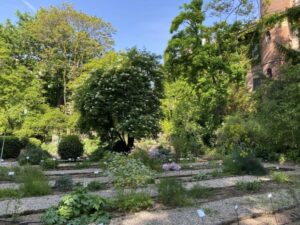 01-orto-di-brera_reteortibotanicilombardia