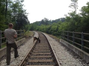 fb_img_1624005133673