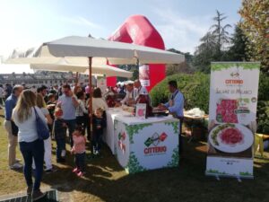 evento_fondazione_corti