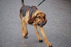 fb_img_1624004752929