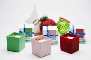 istituto-pasteur-italia_candela-emozionaria_natale-2021-copy