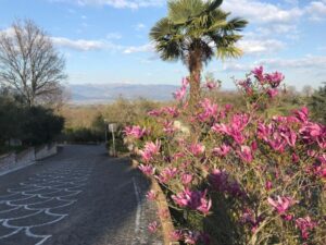oasi-regina-degli-angeli