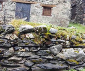 progetto-senza-titolo