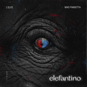 lelfo-niko-pandetta-elefantino-low