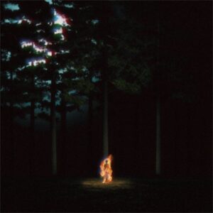 th-37923012942-600x600-1