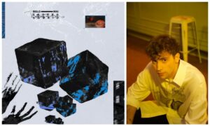 bolo-mai-troppo-sobrio-side