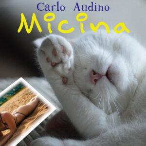 carlo_audino__micina__3000_rid