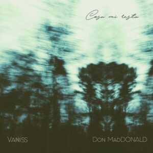 cover_cosa-mi-resta-vaniss