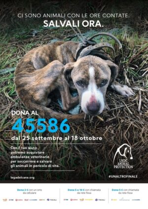 lndc_annuncio-stampa