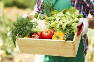 close-up-of-box-with-vegetables-in-hands-of-mature-man-min-1_11zon