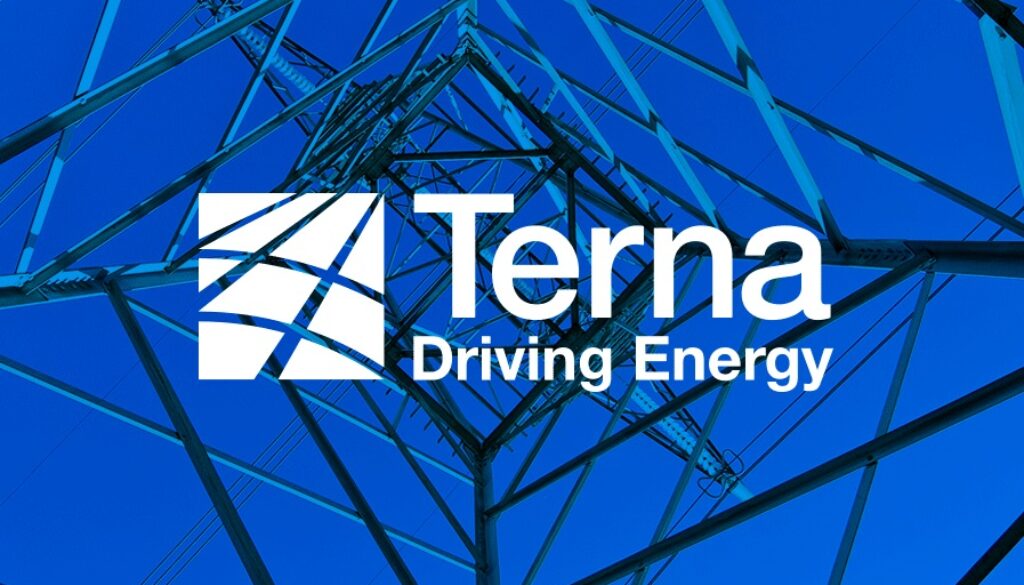 terna243