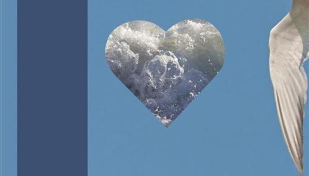 copertina20